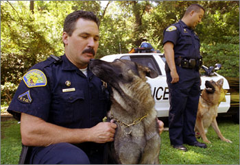 Police and Dog